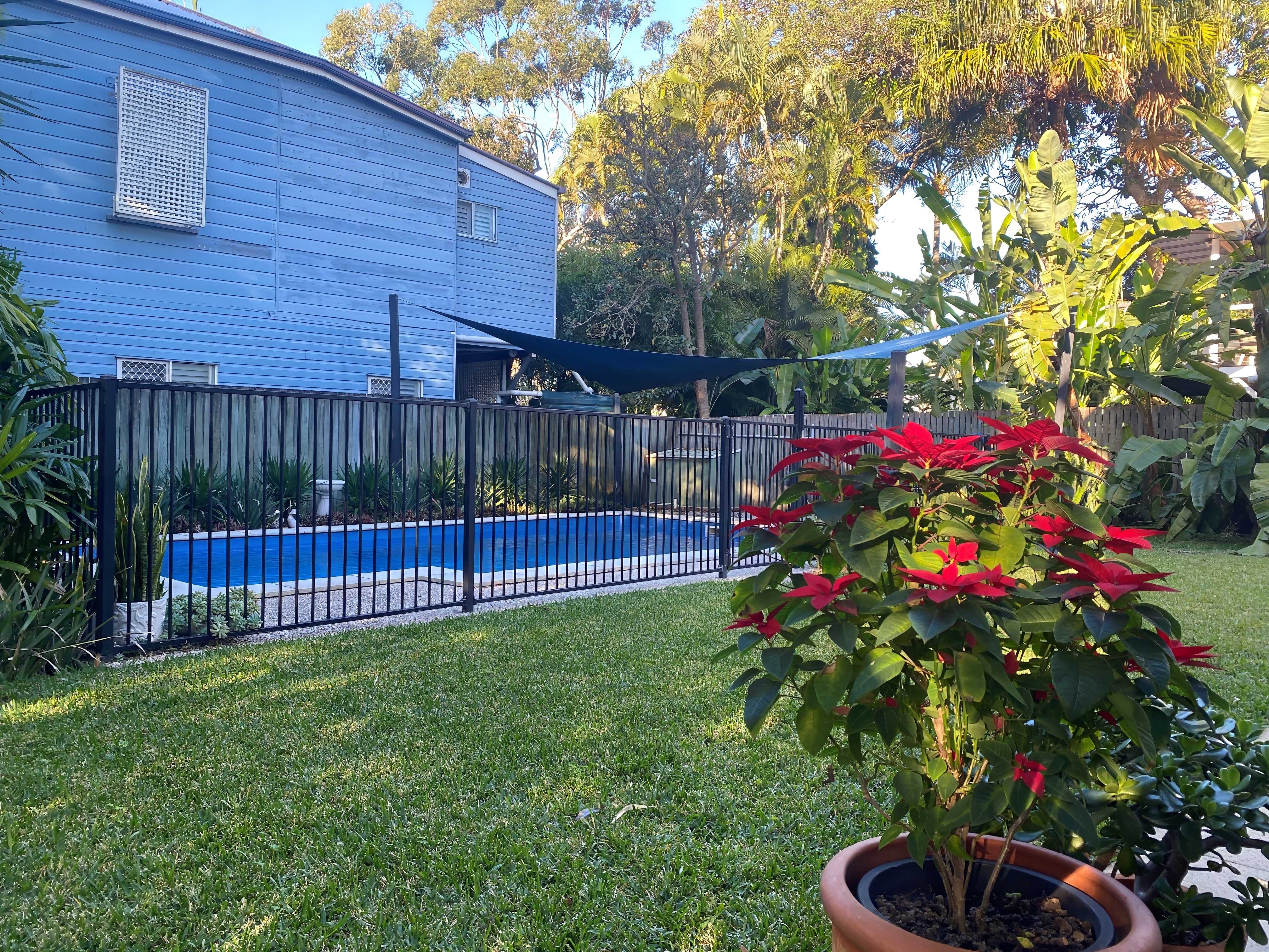 Backyard 01