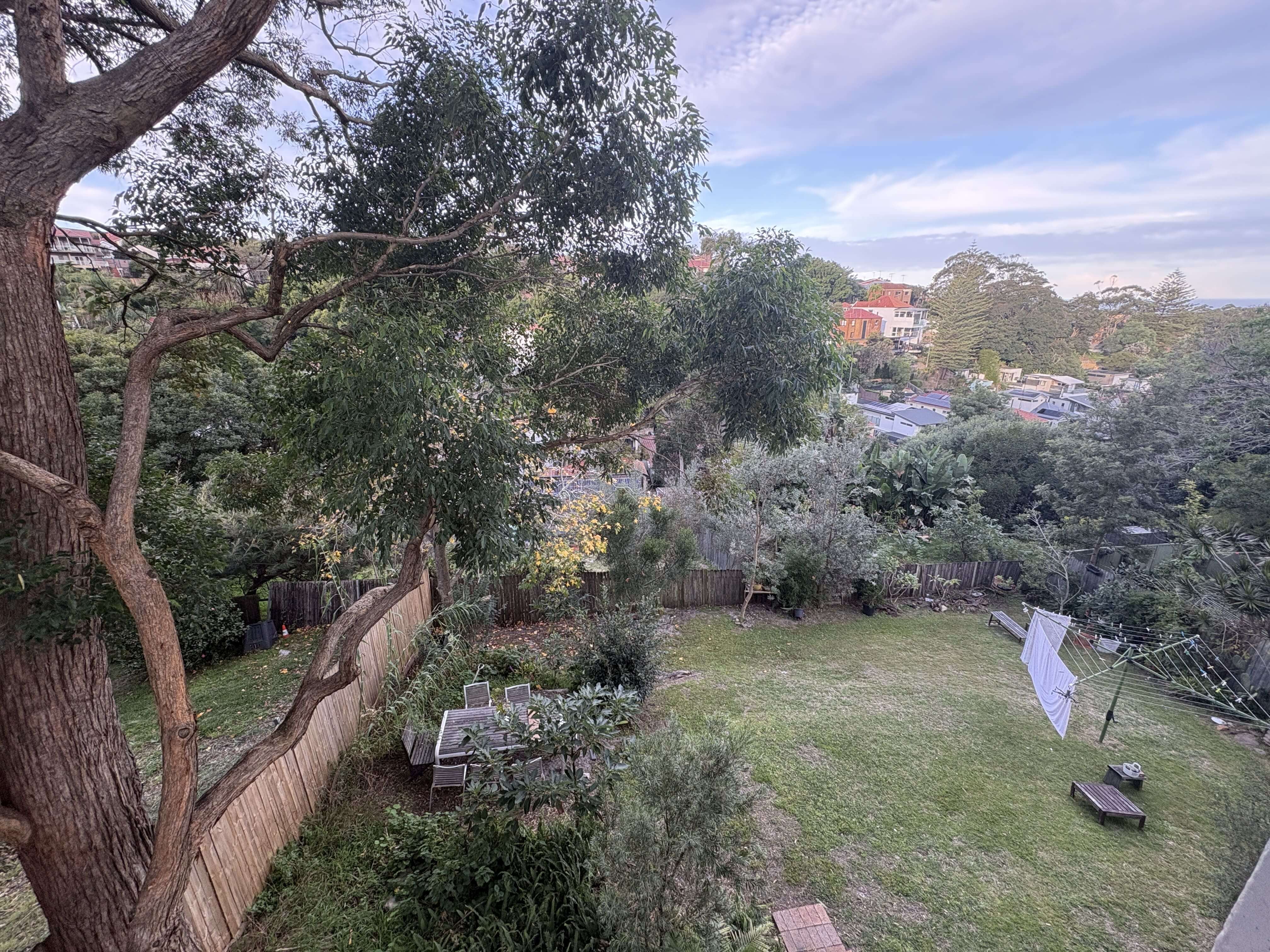 6. Huge communal backyard